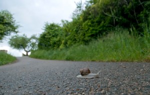 Things do not move quickly sometimes......