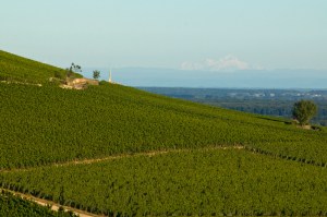 A late afternoon view of Charlemagne from Caradeux shows the  unexpected appearance of a distant neighbour