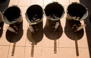 First grapes arrive for analysis@Latour