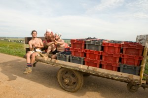 Harvest@CortonHill_CRW6742LoRes