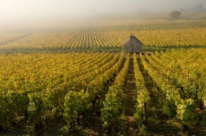 LesPougets_CRW6414LoRes