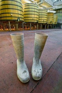 boots at Bouchard's cuverie