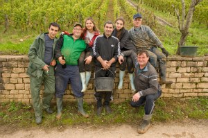 Some of Chapuis' finest