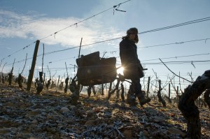 Pulling downhill is better than pushing up !