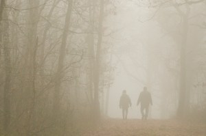 Renaud père + fils looking for tracks.