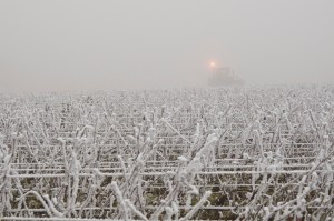 Flashing lights in Bressandes