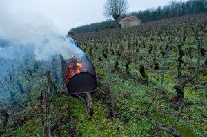 The trick is to know where the wind is coming from...