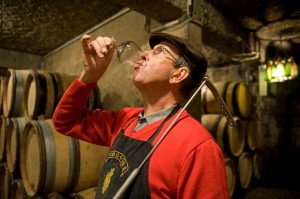 Jean-François checking the malolactic fermentation of his 2013 Charlemagne