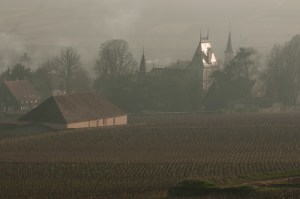 The Latour cuverie and its neighbour Château Corton André with its famous tiled roof