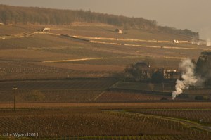 A peaceful morning on the Ladoix side of the Hill as seen from Aloxe-Corton