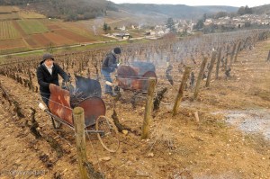 Two ladies burning prunings in Le Charlemagne in front of Pernad-Vergelesses. 
