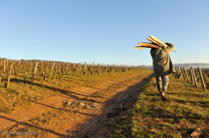 Carrying new posts to Les Lolieres