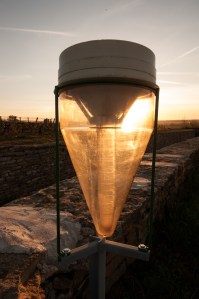 empty rain gauge behind Latour's cuverie