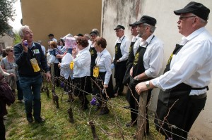 Entertainment en route to dessert