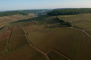Looking towards Pernand-Vergelesses from above Les Pougets