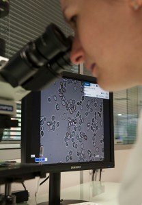Wine under the microscope ! (I'm waiting for a slightly more technical caption from Burgundia)
