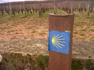 The Camino de Santiago passes Les Bressandes.