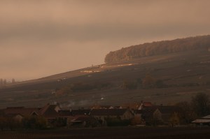 Corton from Buisson