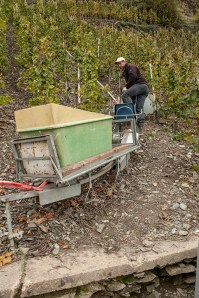 A monaorail for transporting grapes down the Mosel's steep slopes. I used to be an ambition to ride on one of those. Not any more !