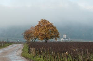 Low cloud over Nuits St Georges
