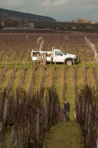 Time for new posts in Les Suchots