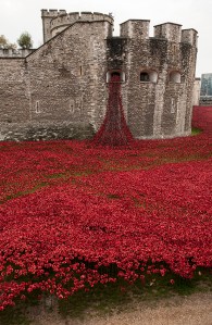 weepingwindow_crw5530