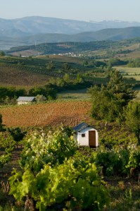 And sometimes the sun shines