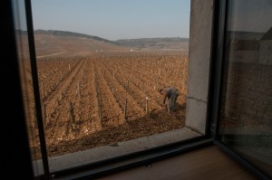 The new offices overlook Romanée St Vivant