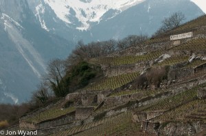 Terracing at Clos de la George