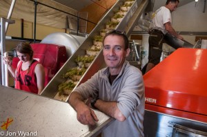 Over the road Laurent Pillot is watching his Aligoté come in