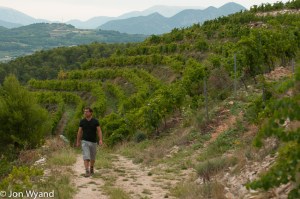 Nicolas's Malmont vineyard,near Seguret, all his own work - watch this space !