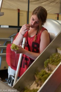 Quality control at work