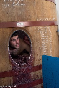 Emptying one of Dominique Laurent's cuves in Flagey-Echezeaux