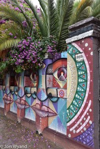 Those eyes follow you down the street !