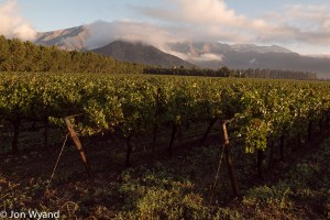 First light at Errazuriz on day 2