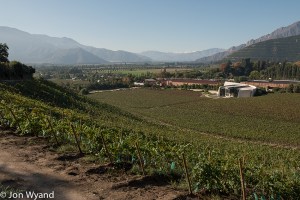 A last look at Errazuriz, for a while....