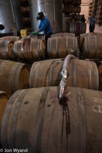 Filling barrels@ Errazuriz.