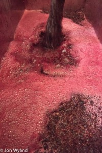 Pumping over Cabernet