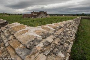 Clos du Vougeot under the cloud