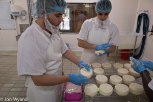 Affinage of Epoisses at Fromagerie Gaugry in Brochon. That's washing the finished cheeses in Marc de Bourgogne. A great place, highly visible on the N974, well organised and welcoming, well worth a visit. Its grown so much since it was tucked away at a mini-roundabout  on the outskirts of the village twenty years ago.