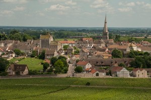 Meursault from Les Grands Charrons