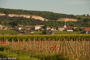 Chassagne-Montrachet and seasonal poppies.