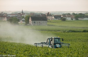 Spraying at Puligny Clavaillon.
