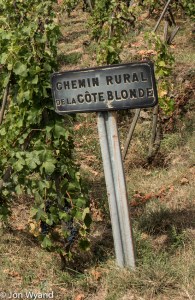 coteblondeolderrhn_9212