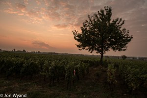 Looks like a promising day in Chassagne