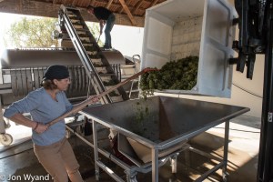 Caroline+Dominique at the press