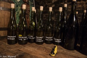 Celar samples at Dancer