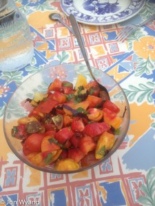 Starting with organic tomatoes from the garden