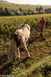 Prosper takes break. Somewhere in the background is Corton