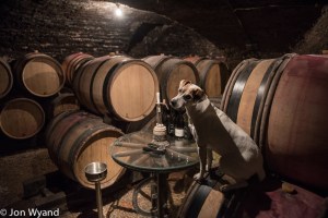 Darling he should be with the angels on the label !